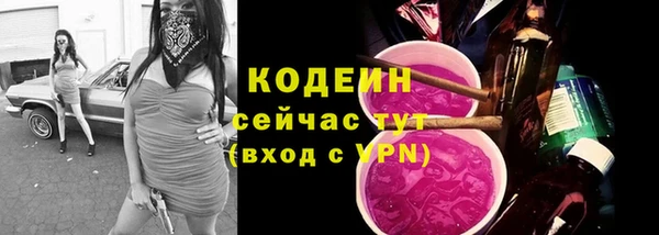 шишки Беломорск