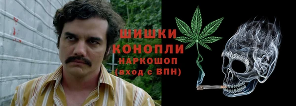 крисы Белоозёрский