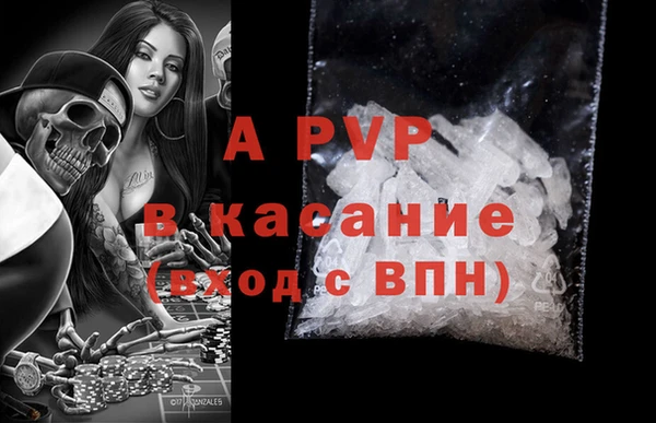 гидропоника Белокуриха