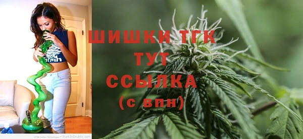 сатива Снежинск